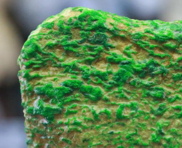 满身松花翡翠原石吉林翡翠原石上的松花-第5张图片-翡翠网