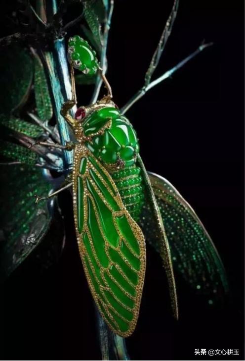 关于翡翠手镯知识,萧邦手镯翡翠知识-第2张图片-翡翠网 关于翡翠手镯知识,萧邦手镯翡翠知识-第2张图片-翡翠网