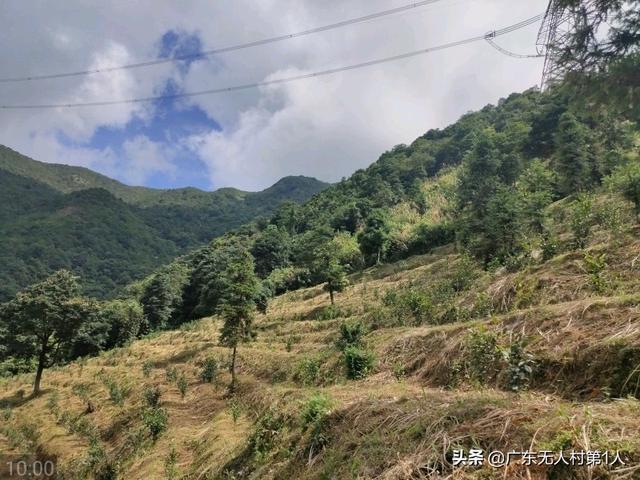 英德附近有翡翠原石市场吗,翡翠原石市场大全-第5张图片-翡翠网