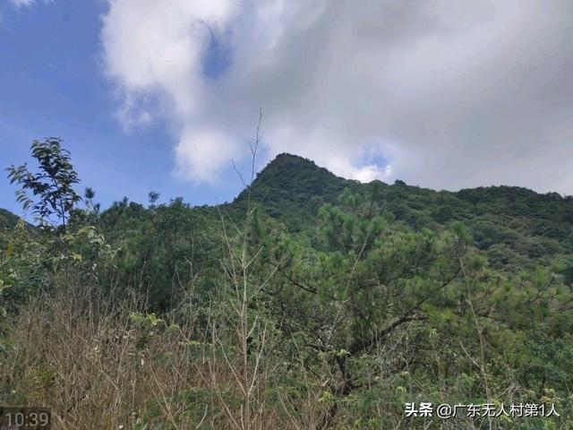 英德附近有翡翠原石市场吗,翡翠原石市场大全-第8张图片-翡翠网