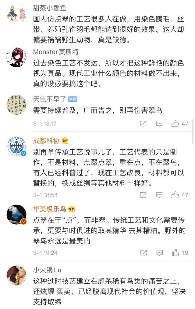 翡翠是一种鸟,翡翠鸟价格-第6张图片-翡翠网 翡翠是一种鸟,翡翠鸟价格-第6张图片-翡翠网