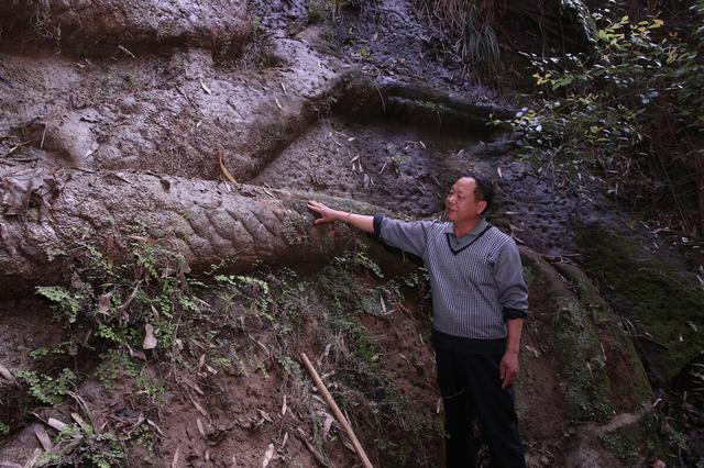 翡翠原石叫什么,一万八千左右的翡翠原石-第2张图片-翡翠网 翡翠原石叫什么,一万八千左右的翡翠原石-第2张图片-翡翠网