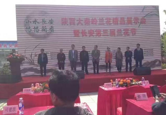 蕙兰金镶翡翠简历银镶翡翠兰花价格-第1张图片-翡翠网 蕙兰金镶翡翠简历银镶翡翠兰花价格-第1张图片-翡翠网