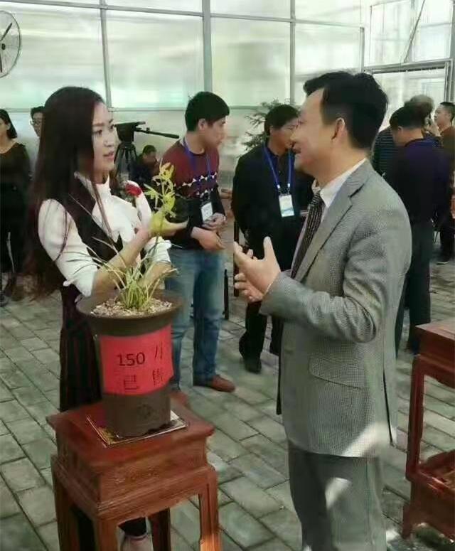 蕙兰金镶翡翠简历银镶翡翠兰花价格-第2张图片-翡翠网 蕙兰金镶翡翠简历银镶翡翠兰花价格-第2张图片-翡翠网