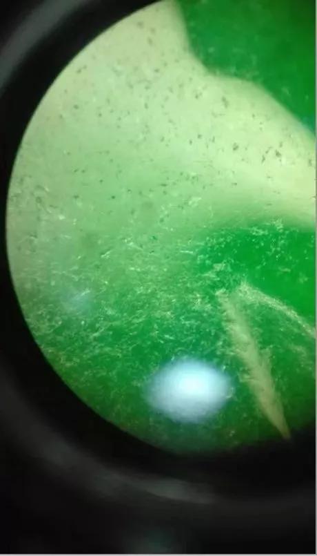 玉翡翠知识付费,翡翠对比和田玉-第2张图片-翡翠网 玉翡翠知识付费,翡翠对比和田玉-第2张图片-翡翠网