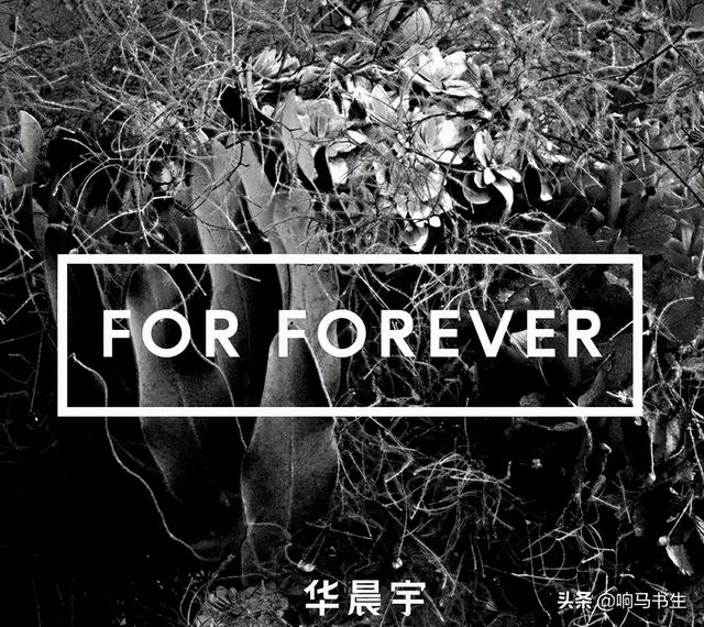 翡翠文案的创作思路,花花翡翠知识文案-第16张图片-翡翠网 翡翠文案的创作思路,花花翡翠知识文案-第16张图片-翡翠网