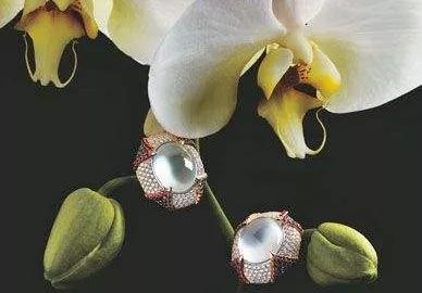 万科翡翠价格暴跌烟台万科翡翠大道房价走势-第2张图片-翡翠网 万科翡翠价格暴跌烟台万科翡翠大道房价走势-第2张图片-翡翠网