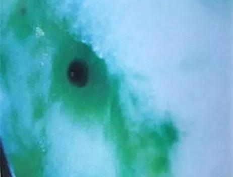 万科翡翠价格暴跌烟台万科翡翠大道房价走势-第22张图片-翡翠网 万科翡翠价格暴跌烟台万科翡翠大道房价走势-第22张图片-翡翠网