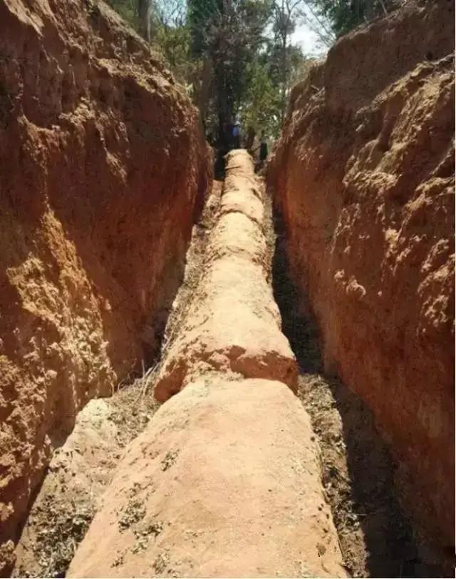 翡翠原石有绿藓黄带绿翡翠原石图片-第2张图片-翡翠网