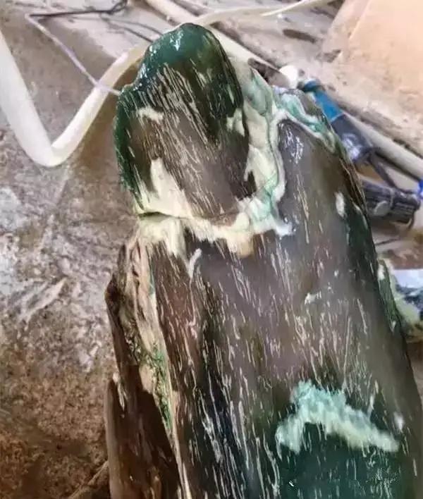 翡翠原石有绿藓黄带绿翡翠原石图片-第6张图片-翡翠网