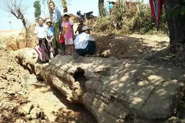 翡翠原石有绿藓黄带绿翡翠原石图片-第9张图片-翡翠网