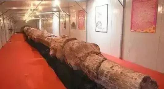 翡翠原石有绿藓黄带绿翡翠原石图片-第10张图片-翡翠网