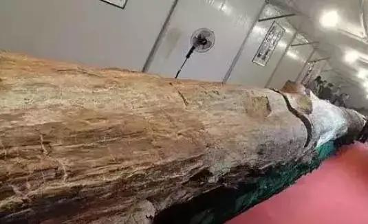 翡翠原石有绿藓黄带绿翡翠原石图片-第11张图片-翡翠网