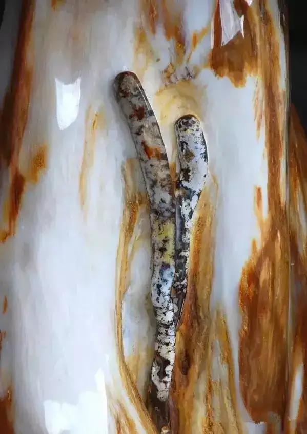 翡翠原石有绿藓黄带绿翡翠原石图片-第17张图片-翡翠网