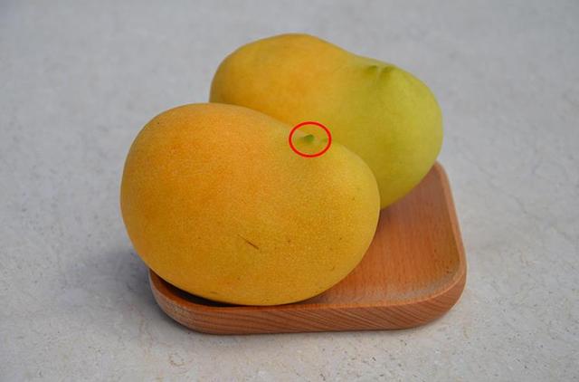 沙拉翡翠原石图片,玉石翡翠原石-第15张图片-翡翠网 沙拉翡翠原石图片,玉石翡翠原石-第15张图片-翡翠网