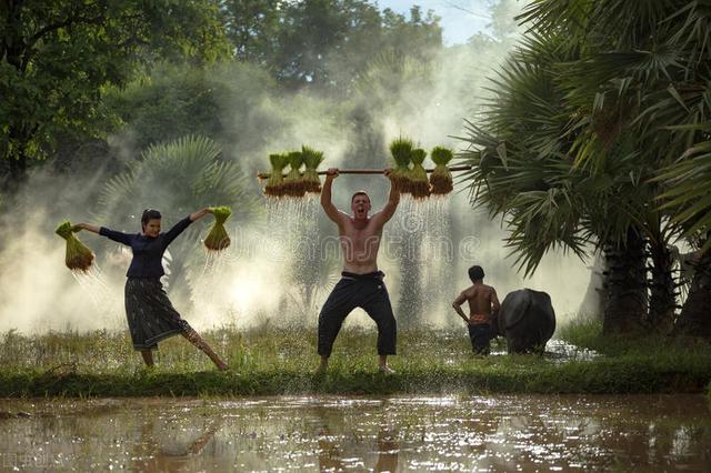 沙拉翡翠原石图片,玉石翡翠原石-第17张图片-翡翠网 沙拉翡翠原石图片,玉石翡翠原石-第17张图片-翡翠网