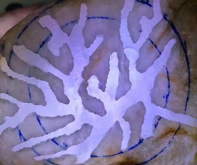 冰种阳绿翡翠手镯图片高冰种绿翡翠手镯-第4张图片-翡翠网 冰种阳绿翡翠手镯图片高冰种绿翡翠手镯-第4张图片-翡翠网