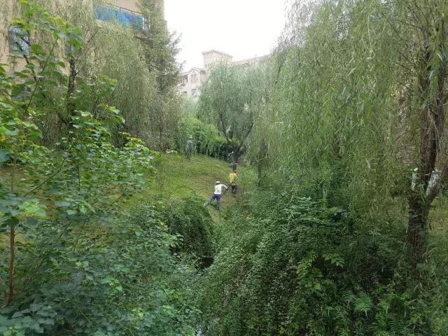 翡翠溪谷二期,翡翠溪谷价格-第16张图片-翡翠网 翡翠溪谷二期,翡翠溪谷价格-第16张图片-翡翠网