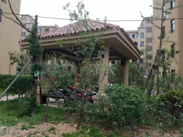 翡翠溪谷二期,翡翠溪谷价格-第17张图片-翡翠网 翡翠溪谷二期,翡翠溪谷价格-第17张图片-翡翠网