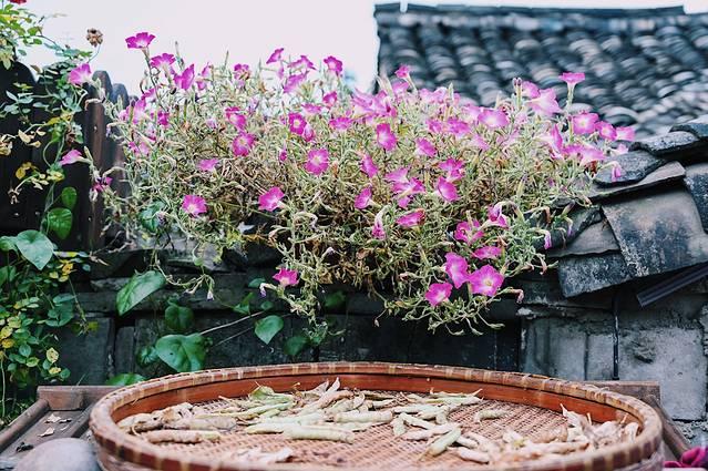 好的翡翠原石,宁海原石翡翠知识大全-第13张图片-翡翠网 好的翡翠原石,宁海原石翡翠知识大全-第13张图片-翡翠网