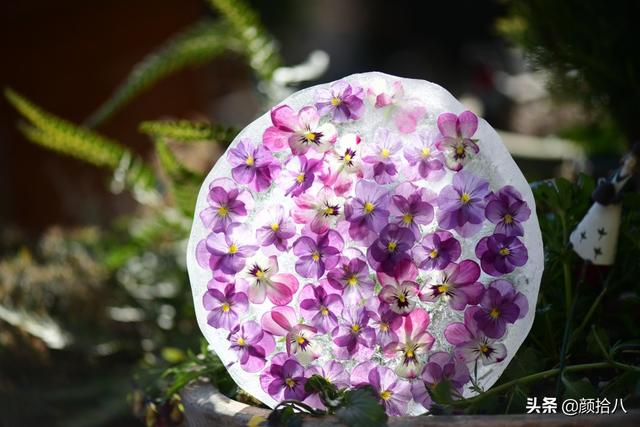 翡翠明料一般什么价位,翡翠大冰料的价格-第1张图片-翡翠网 翡翠明料一般什么价位,翡翠大冰料的价格-第1张图片-翡翠网