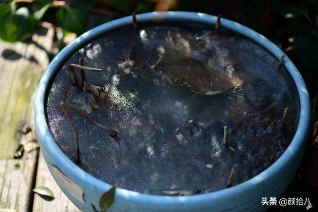 翡翠明料一般什么价位,翡翠大冰料的价格-第3张图片-翡翠网 翡翠明料一般什么价位,翡翠大冰料的价格-第3张图片-翡翠网