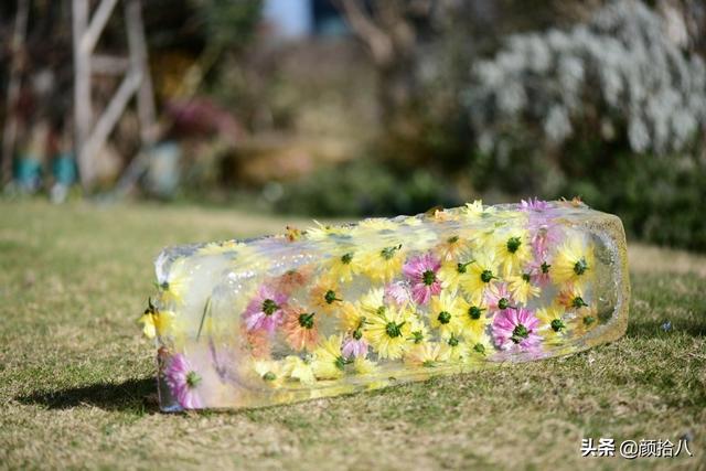 翡翠明料一般什么价位,翡翠大冰料的价格-第4张图片-翡翠网 翡翠明料一般什么价位,翡翠大冰料的价格-第4张图片-翡翠网