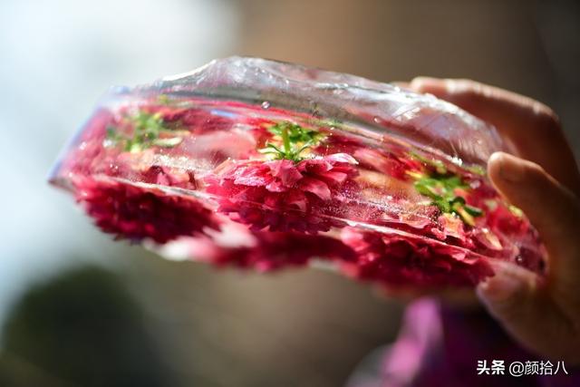 翡翠明料一般什么价位,翡翠大冰料的价格-第5张图片-翡翠网 翡翠明料一般什么价位,翡翠大冰料的价格-第5张图片-翡翠网