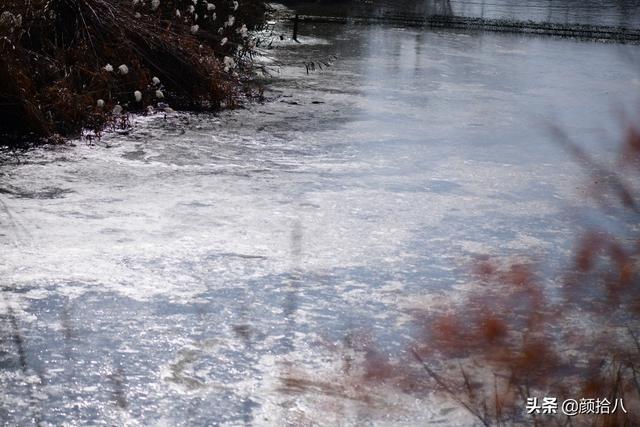 翡翠明料一般什么价位,翡翠大冰料的价格-第6张图片-翡翠网 翡翠明料一般什么价位,翡翠大冰料的价格-第6张图片-翡翠网