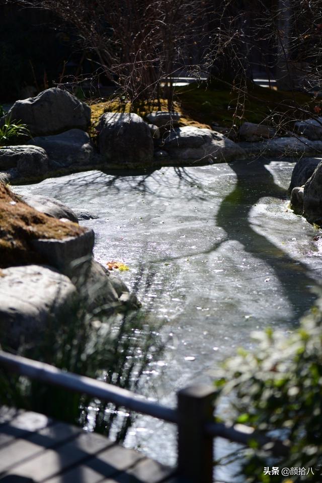 翡翠明料一般什么价位,翡翠大冰料的价格-第7张图片-翡翠网 翡翠明料一般什么价位,翡翠大冰料的价格-第7张图片-翡翠网