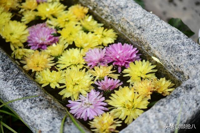 翡翠明料一般什么价位,翡翠大冰料的价格-第10张图片-翡翠网 翡翠明料一般什么价位,翡翠大冰料的价格-第10张图片-翡翠网