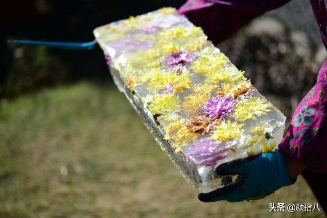 翡翠明料一般什么价位,翡翠大冰料的价格-第12张图片-翡翠网 翡翠明料一般什么价位,翡翠大冰料的价格-第12张图片-翡翠网