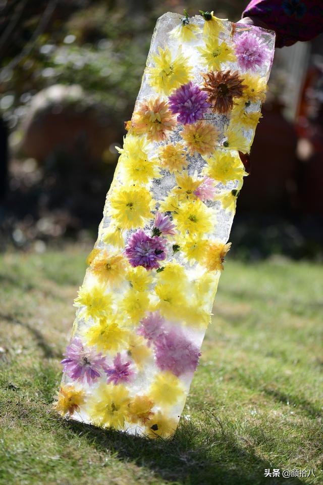 翡翠明料一般什么价位,翡翠大冰料的价格-第14张图片-翡翠网 翡翠明料一般什么价位,翡翠大冰料的价格-第14张图片-翡翠网