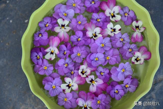 翡翠明料一般什么价位,翡翠大冰料的价格-第17张图片-翡翠网 翡翠明料一般什么价位,翡翠大冰料的价格-第17张图片-翡翠网