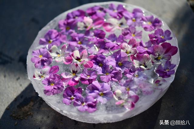 翡翠明料一般什么价位,翡翠大冰料的价格-第19张图片-翡翠网 翡翠明料一般什么价位,翡翠大冰料的价格-第19张图片-翡翠网