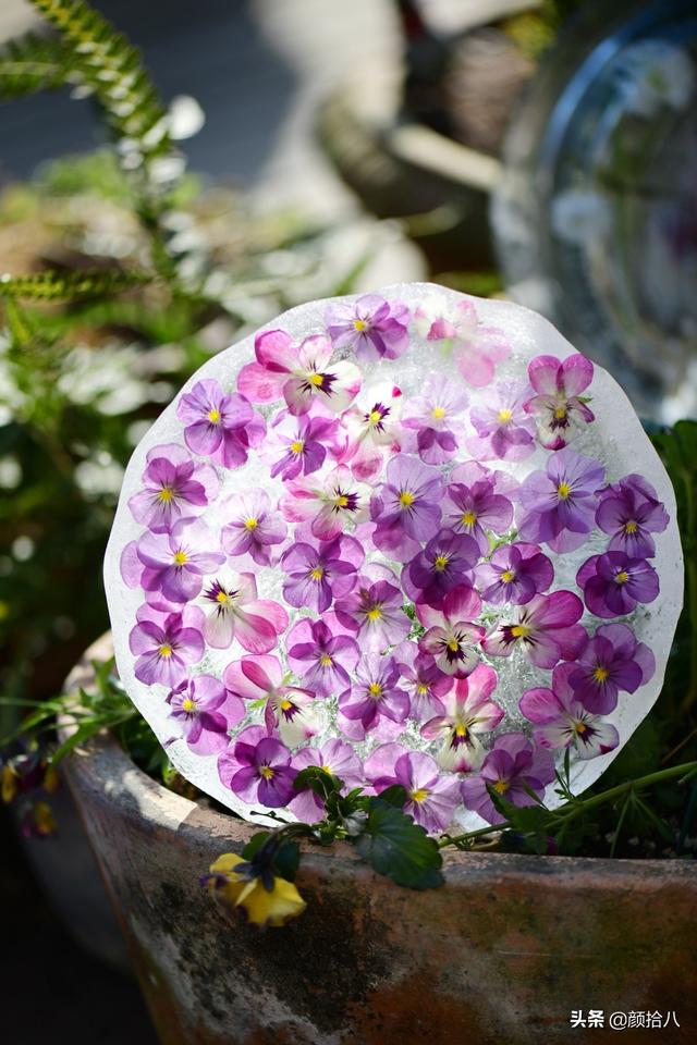 翡翠明料一般什么价位,翡翠大冰料的价格-第21张图片-翡翠网 翡翠明料一般什么价位,翡翠大冰料的价格-第21张图片-翡翠网