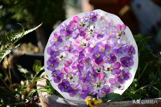 翡翠明料一般什么价位,翡翠大冰料的价格-第22张图片-翡翠网 翡翠明料一般什么价位,翡翠大冰料的价格-第22张图片-翡翠网