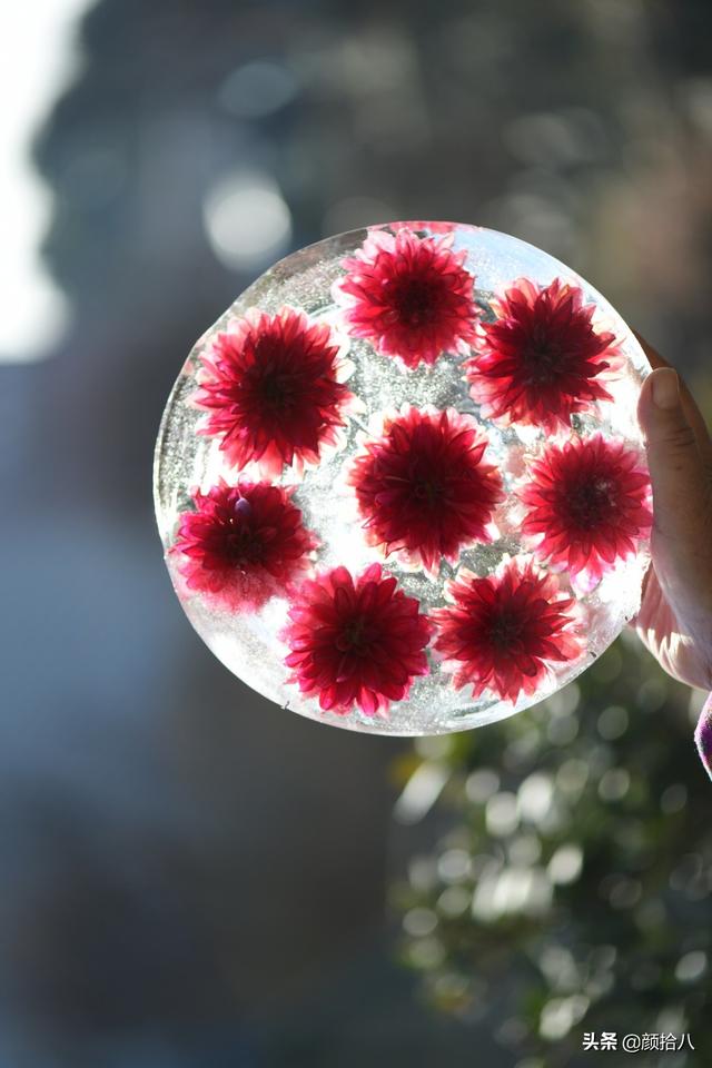 翡翠明料一般什么价位,翡翠大冰料的价格-第24张图片-翡翠网 翡翠明料一般什么价位,翡翠大冰料的价格-第24张图片-翡翠网