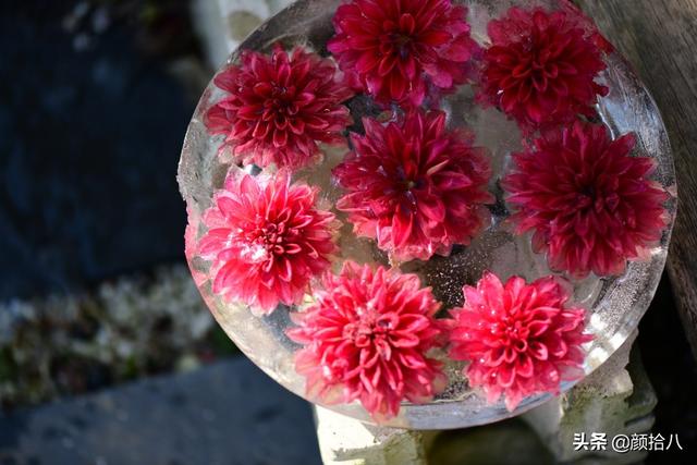 翡翠明料一般什么价位,翡翠大冰料的价格-第25张图片-翡翠网 翡翠明料一般什么价位,翡翠大冰料的价格-第25张图片-翡翠网