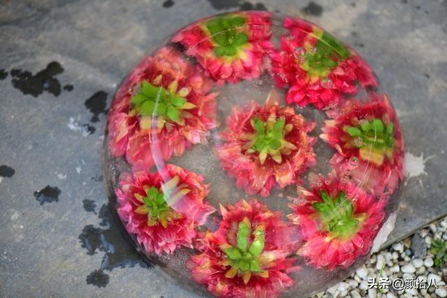 翡翠明料一般什么价位,翡翠大冰料的价格-第27张图片-翡翠网 翡翠明料一般什么价位,翡翠大冰料的价格-第27张图片-翡翠网