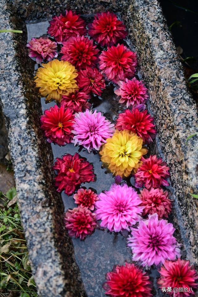 翡翠明料一般什么价位,翡翠大冰料的价格-第28张图片-翡翠网 翡翠明料一般什么价位,翡翠大冰料的价格-第28张图片-翡翠网