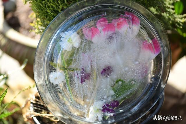 翡翠明料一般什么价位,翡翠大冰料的价格-第31张图片-翡翠网 翡翠明料一般什么价位,翡翠大冰料的价格-第31张图片-翡翠网