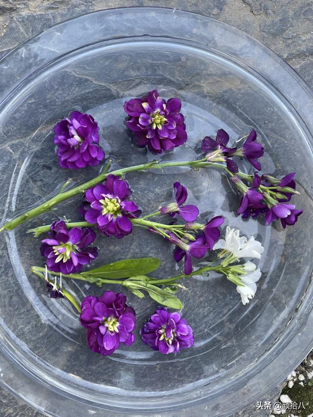 翡翠明料一般什么价位,翡翠大冰料的价格-第37张图片-翡翠网 翡翠明料一般什么价位,翡翠大冰料的价格-第37张图片-翡翠网