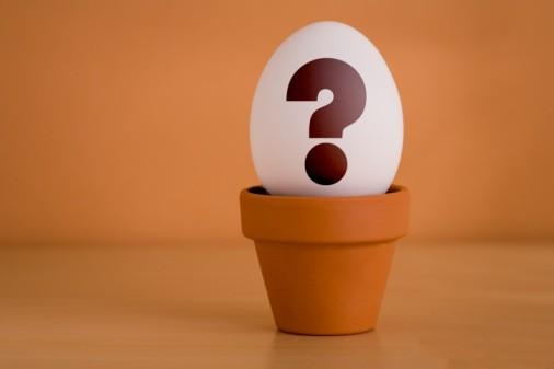 翡翠原石的价位,百万翡翠原石切开一片绿油油-第2张图片-翡翠网