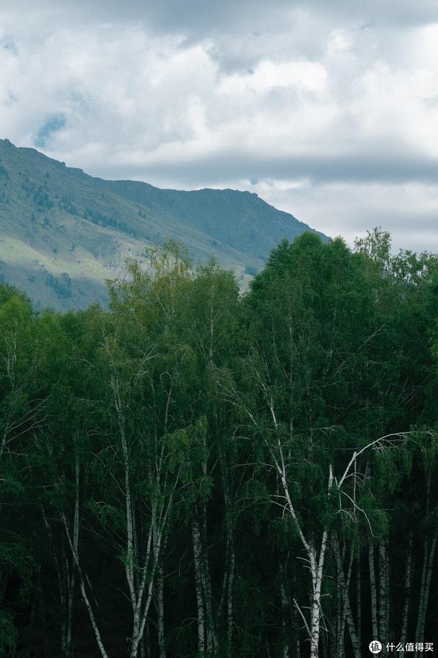 mini直播忘关摄像头视频,MINI直播间翡翠知识-第106张图片-翡翠网