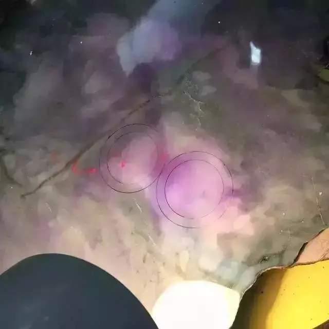 传世翡翠手镯图片,a货翡翠手镯-第2张图片-翡翠网 传世翡翠手镯图片,a货翡翠手镯-第2张图片-翡翠网