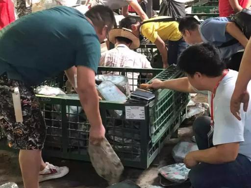 缅甸玉a货一般在多少钱缅甸翡翠的最新价格-第23张图片-翡翠网 缅甸玉a货一般在多少钱缅甸翡翠的最新价格-第23张图片-翡翠网