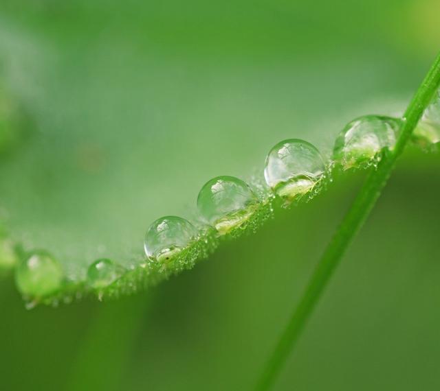 翡翠怎么鉴定真假鉴别翡翠鉴别最简单方法-第1张图片-翡翠网 翡翠怎么鉴定真假鉴别翡翠鉴别最简单方法-第1张图片-翡翠网