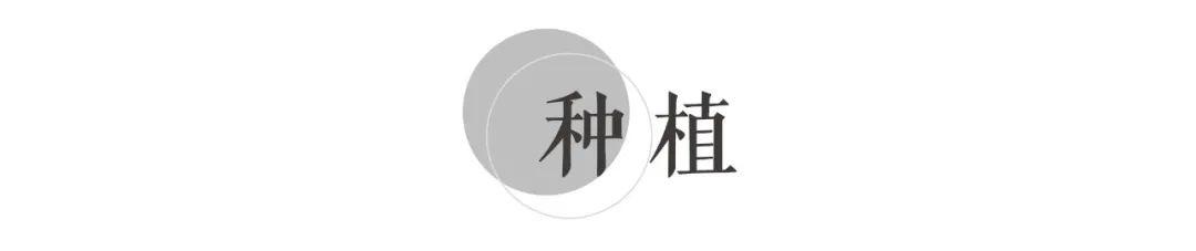 天津翡翠大道降价,天津万科翡翠知识-第39张图片-翡翠网 天津翡翠大道降价,天津万科翡翠知识-第39张图片-翡翠网