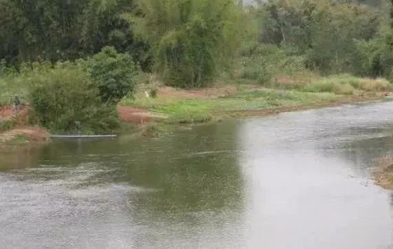 嗯帮我找一下翡翠原石八个场口小孩找翡翠原石-第1张图片-翡翠网 嗯帮我找一下翡翠原石八个场口小孩找翡翠原石-第1张图片-翡翠网